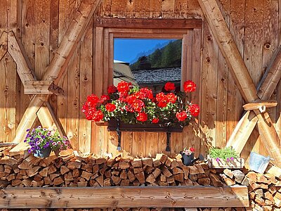Wanderung der Naturfreunde - Silvesteralm