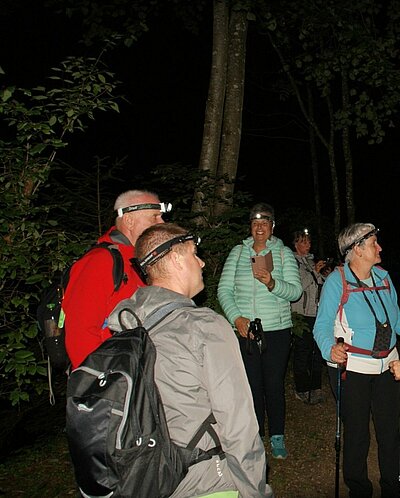 16. Seniorenwanderung der Naturfreunde 2022 - Groppensteinschlucht Obervellach bei Nacht