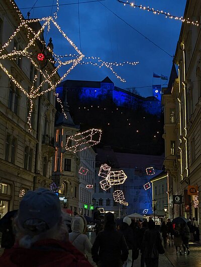 Naturfreunde-Ausflug zum Christkindlmarkt Laibach