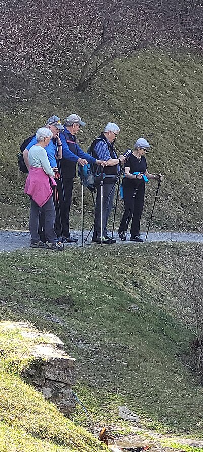 Naturfreunde-Wanderung Schlossberg