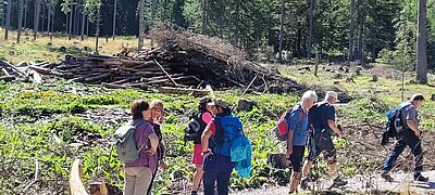 Wanderung der Naturfreunde - Dreischusterhütte