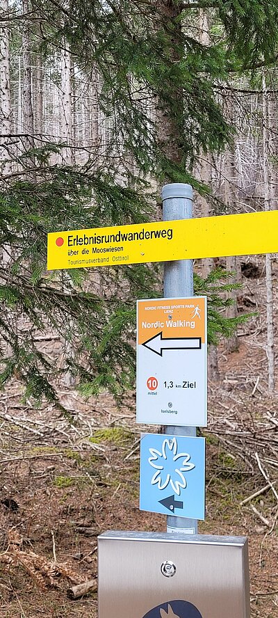 Frühlingswanderung der Naturfreunde am Iselsberg