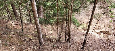 Wanderung der Naturfreunde - Zick Zack Steig