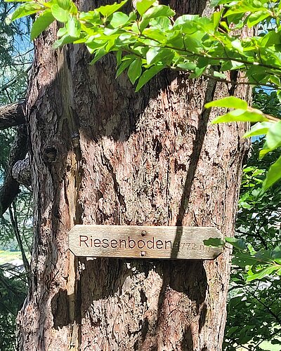 Schattseitenrunde der Naturfreunde