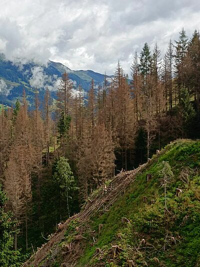 13. Seniorenwanderung der Naturfreunde - Lainacher Kuhalm