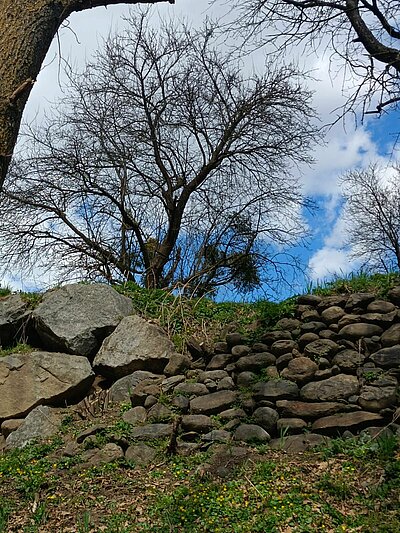 Wanderung der Naturfreunde - Römersteig - Dölsach - Debant