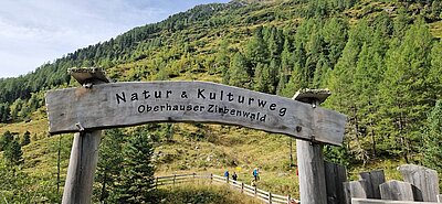 Wanderung der Naturfreunde - Jagdhausalmen und Pfauenauge