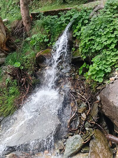 Wanderung der Naturfreunde - Lasnitzenhütte
