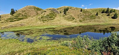 Wanderung der Naturfreunde - Zollnerseehütte