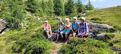 Wanderung der Naturfreunde - Winklerner Almsee - Strasskopf