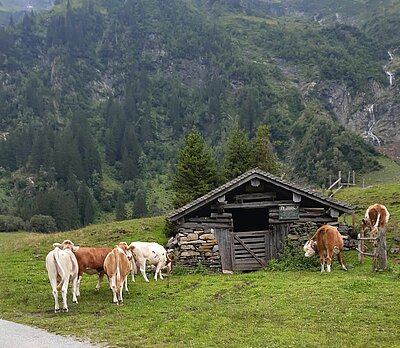 Wanderung der Naturfreunde - Hintersee im Flebertal