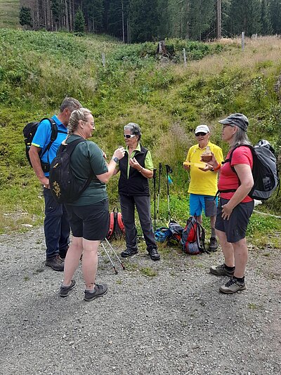 Wanderung der Naturfreunde - Lainacher Kuhalm - Ronahütte