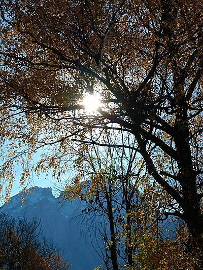 Abschlusswanderung der Naturfreunde - Sonnenrunde