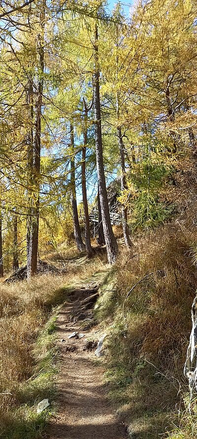 19. Seniorenwanderung der Naturfreunde 2022 - Stabanthütte