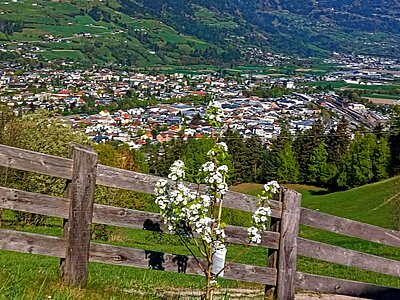 Wanderung der Naturfreunde - Speicherteich Moosalm