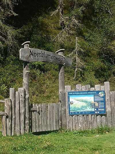 Wanderung der Naturfreunde - Trojeralm