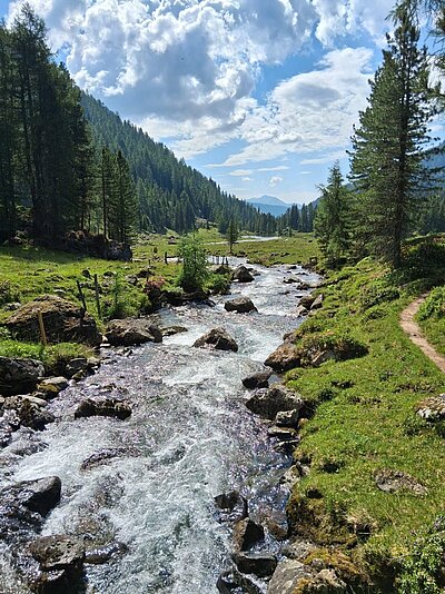 Wanderung der Naturfreunde - Lienzer Hütte