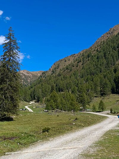Wanderung der Naturfreunde - Silvesteralm