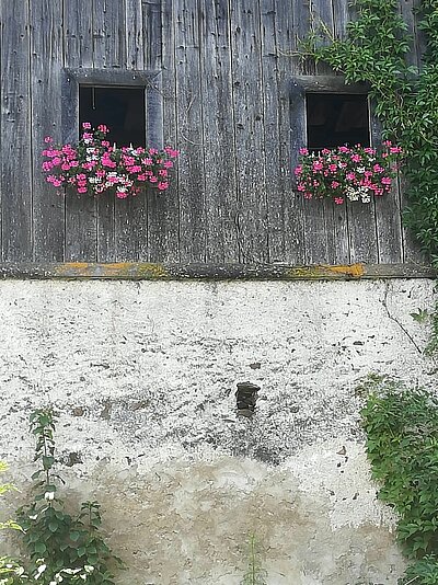 Radlfahren und Grillen der Naturfreunde in der Pfister