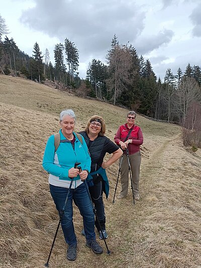 Frühlingswanderung der Naturfreunde am Iselsberg