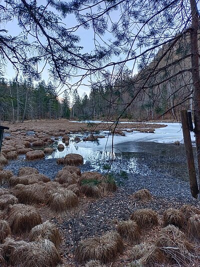 3. Seniorenwanderung der Naturfreunde - Tristacher-Seen-Runde