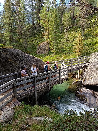 17. Seniorenwanderung der Naturfreunde - Lienzer Hütte