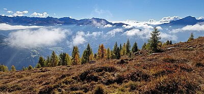 Wanderung der Naturfreunde - Winklerner Almsee