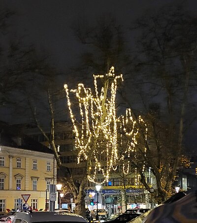 Naturfreunde-Ausflug zum Christkindlmarkt Laibach