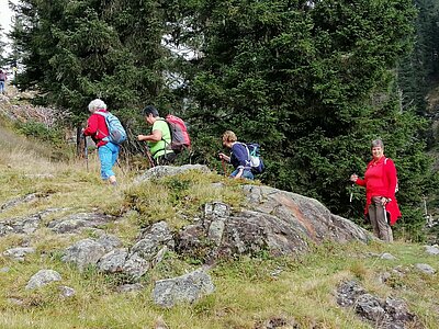 17. Seniorenwanderung der Naturfreunde 2022 - Lienzer Hütte