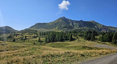 Wanderung der Naturfreunde - Zollnerseehütte