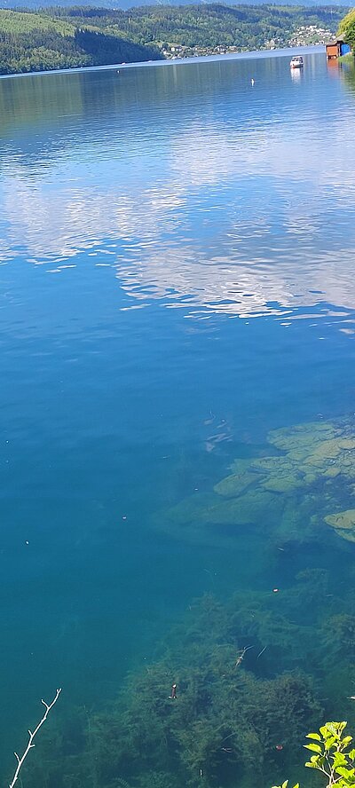 Radausflug der Naturfreunde - Lendorf-Millstättersee
