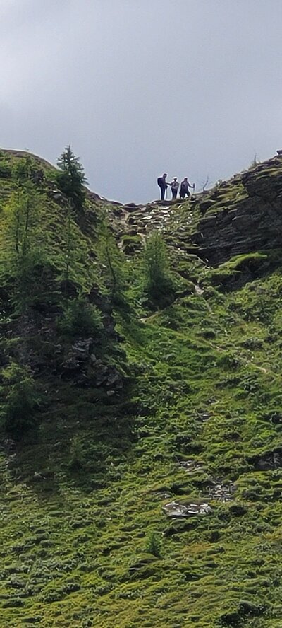 Wanderung der Naturfreunde - Obere Zraunighütte 2077m bzw. Stanitzkopf 2173m