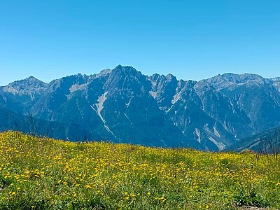 12. Seniorenwanderung der Naturfreunde 2022 - Zettersfeldrunde