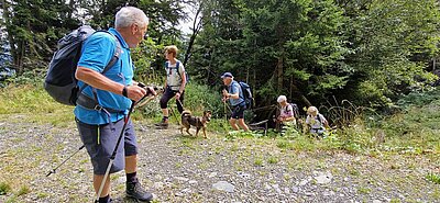 Wanderung der Naturfreunde - Mauthner Alm und Enzianhütte