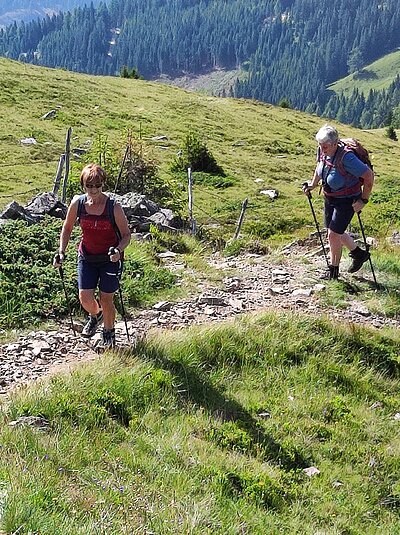 Wanderung der Naturfreunde - Winklerner Almsee - Strasskopf