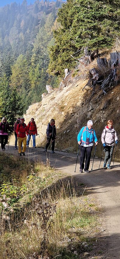 Wanderung der Naturfreunde - Winklerner Almsee