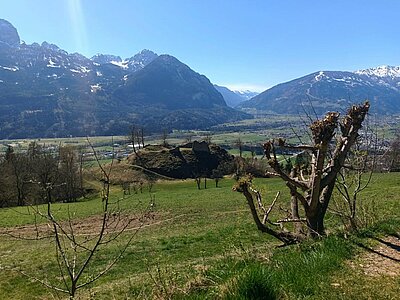 Wanderung der Naturfreunde - Ruine Walchenstein