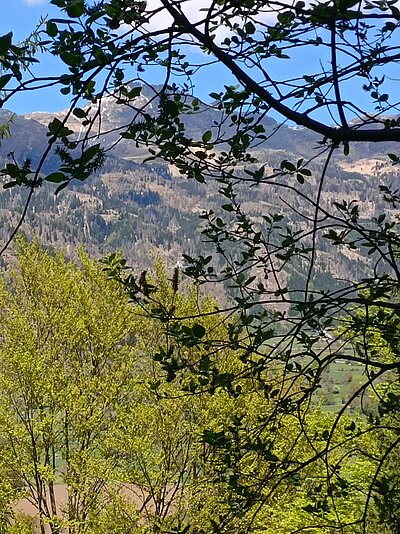 Wanderung der Naturfreunde - Speicherteich Moosalm