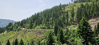 11. Seniorenwanderung der Naturfreunde - Penzelberg