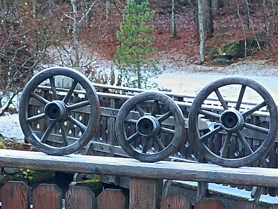 Wanderung der Naturfreunde - Tristachersee und Alter See Runde