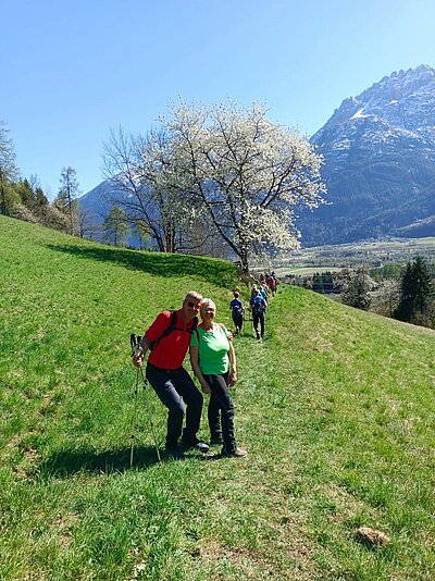 Wanderung der Naturfreunde - Ruine Walchenstein