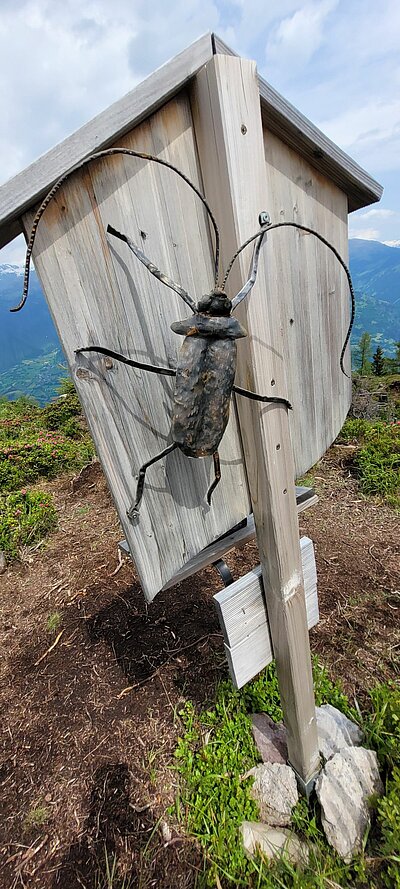 Wanderung der Naturfreunde - Rauchkofel