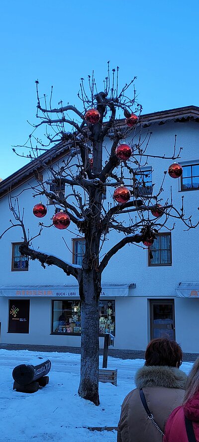 Ausflug der Naturfreunde zum Christkindlmarkt Innichen