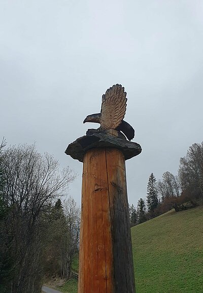 Frühlingswanderung der Naturfreunde am Iselsberg