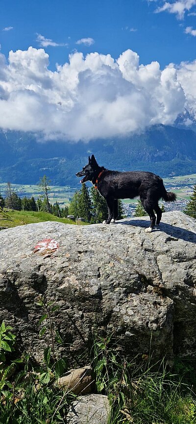 10. Seniorenwanderung der Naturfreunde - Winklerner Hütte