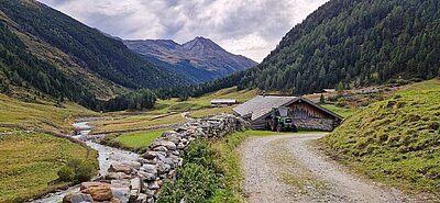 Wanderung der Naturfreunde - Jagdhausalmen und Pfauenauge