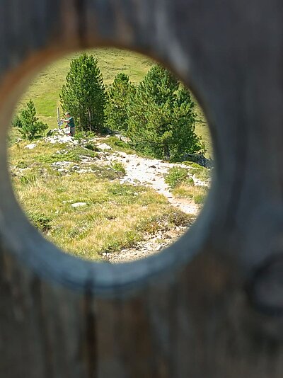 Randwanderung der Naturfreunde - HIRSCHBÜHEL-BLINDISALM-ALPE STALLE