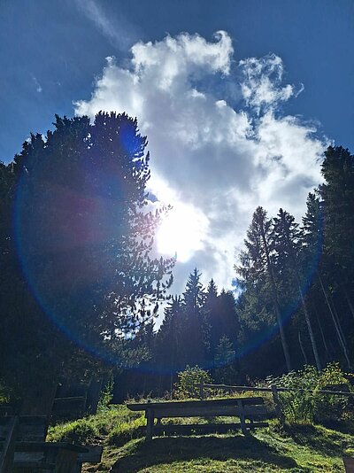Wanderung der Naturfreunde - Kreuzeckbahn mit Klinghütte - Mühldorfer Alm