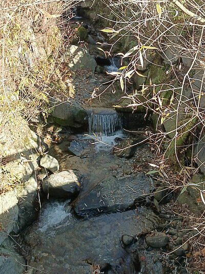 Abschlusswanderung der Naturfreunde - Sonnenrunde