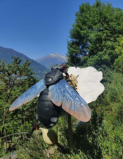 Ausflug der Naturfreunde - Gärten von Schloss Trauttmansdorff